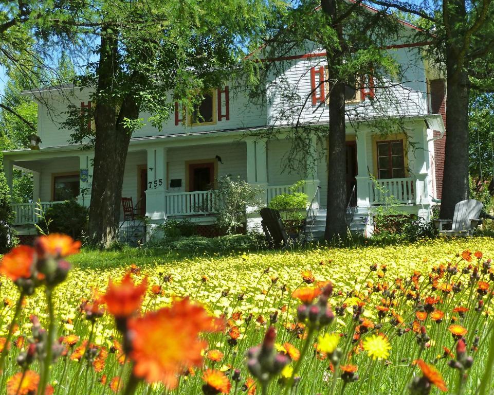 Almatoit Bed & Breakfast Ngoại thất bức ảnh